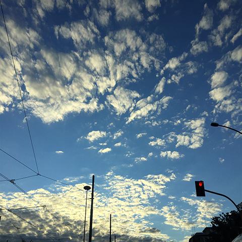 Arte e Musica architetto rosalia marilia vesco